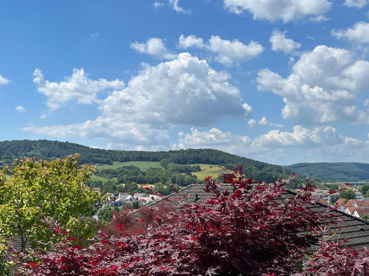 Spitzenbergblick Apartment Reichensachsen Luaran gambar